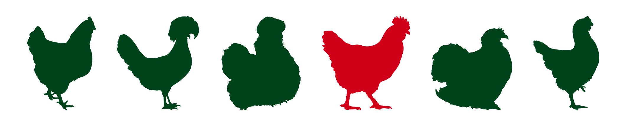 Quelle cocotte est faite pour vous ?