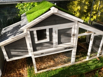 Choisir le poulailler idéal