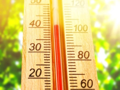 Protéger ses poules de la canicule